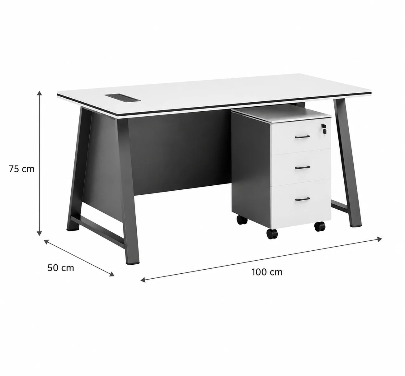 Desk 100x50cm - WRD258