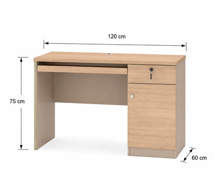 Desk 120x60cm - WRD223