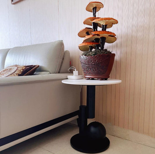 طاولة جانبية