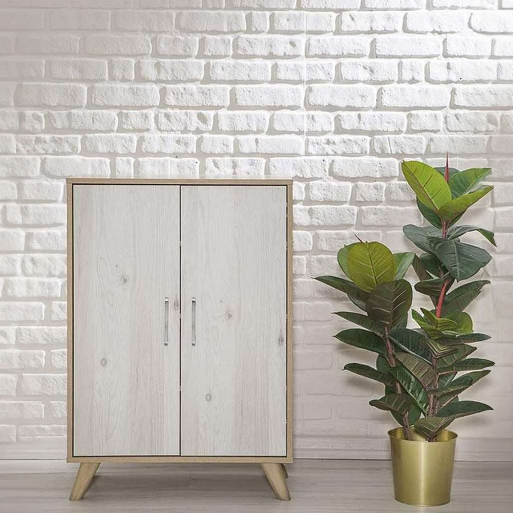 خزانة احذية