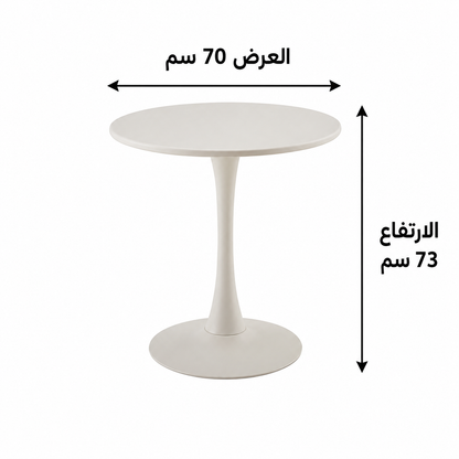طاولة طعام