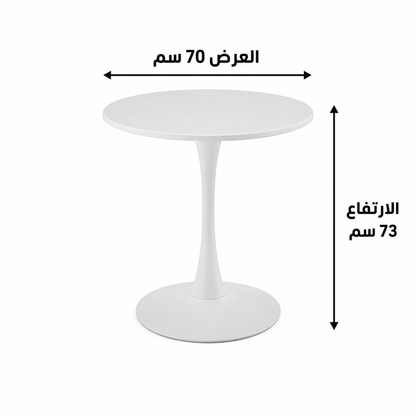 طاولة طعام